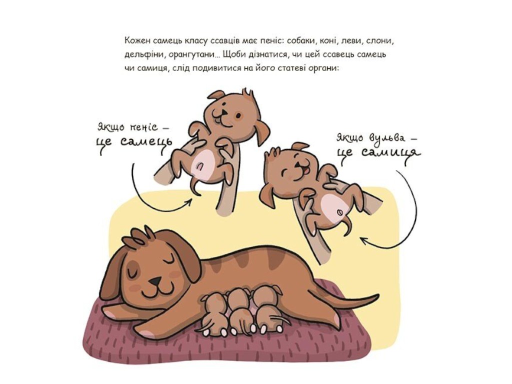 Книга "Это - пенис!", 4-7 лет, А. Сальвия Рибера, К. Торрон Виальта, 4Mamas