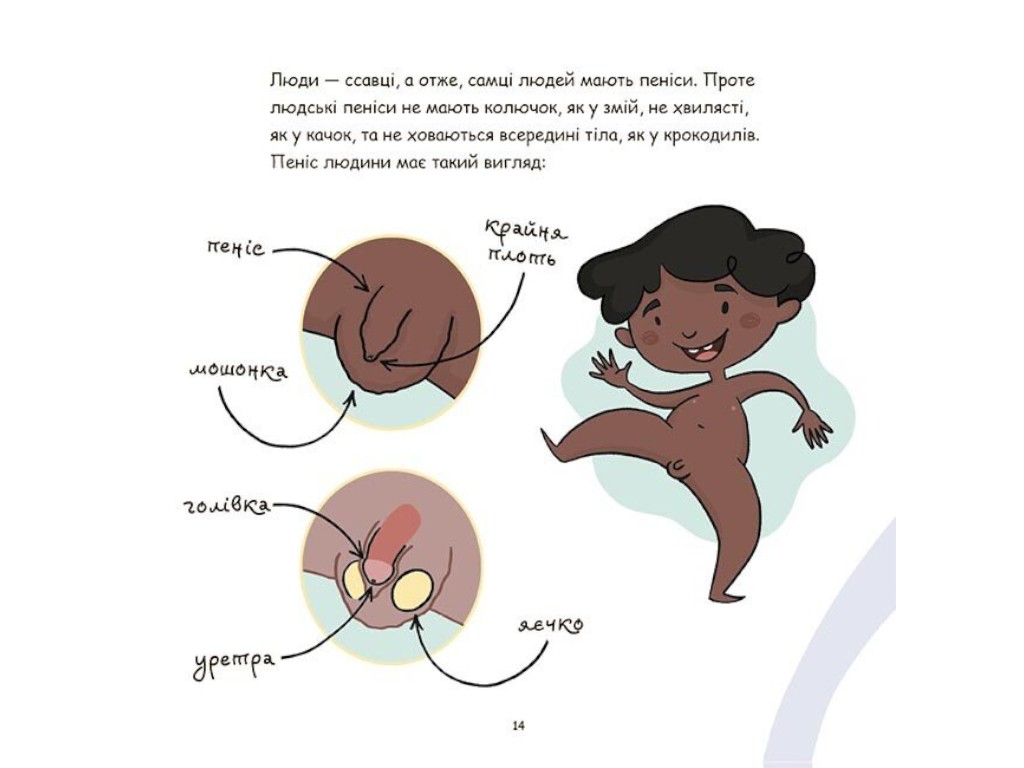 Книга "Это - пенис!", 4-7 лет, А. Сальвия Рибера, К. Торрон Виальта, 4Mamas