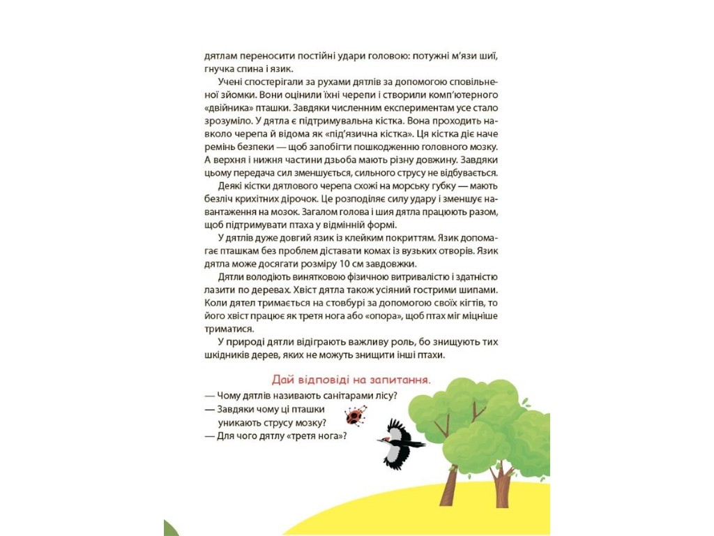 Читанка "ПОЧЕМУЧКА", 9+, Элина Заржицкая, Основа