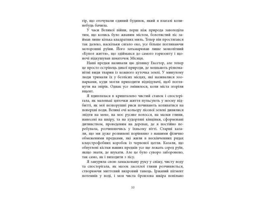 Книга Огня, Фабула ФБ1885018У