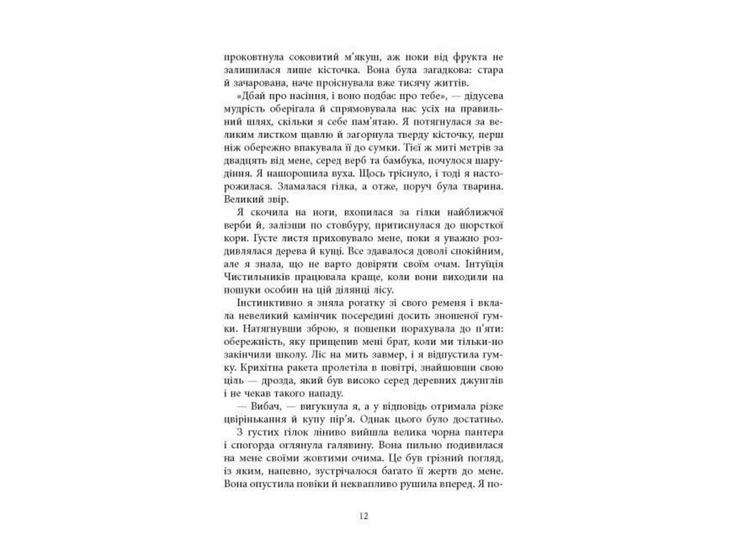 Книга Огня, Фабула ФБ1885018У