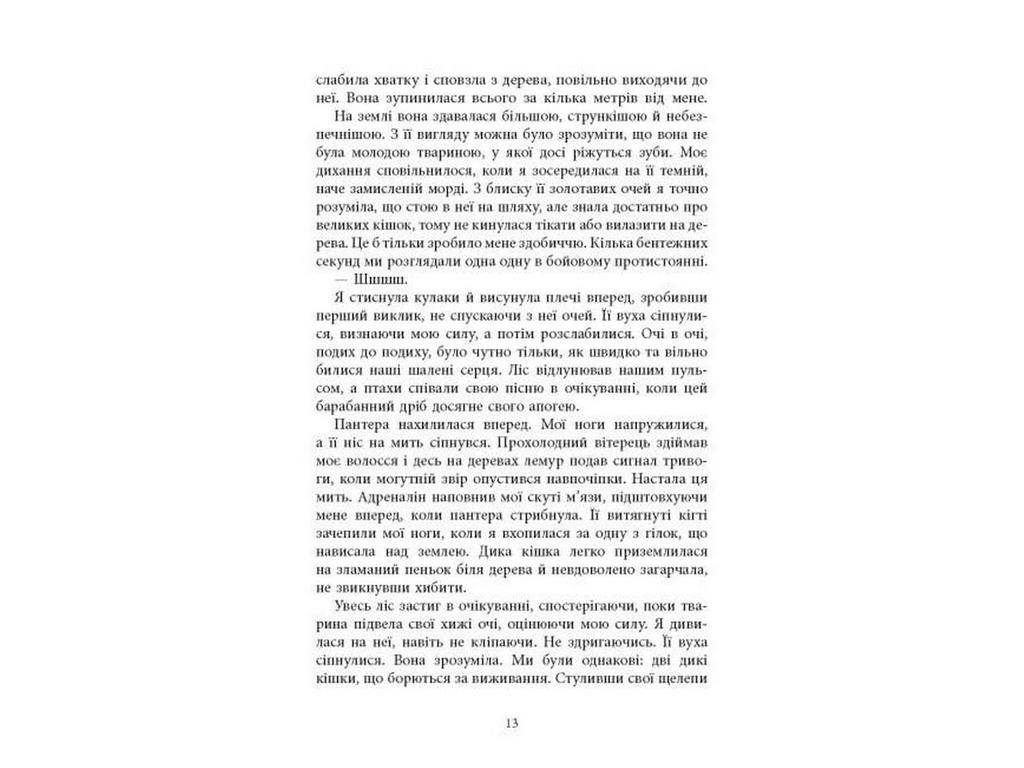 Книга Огня, Фабула ФБ1885018У
