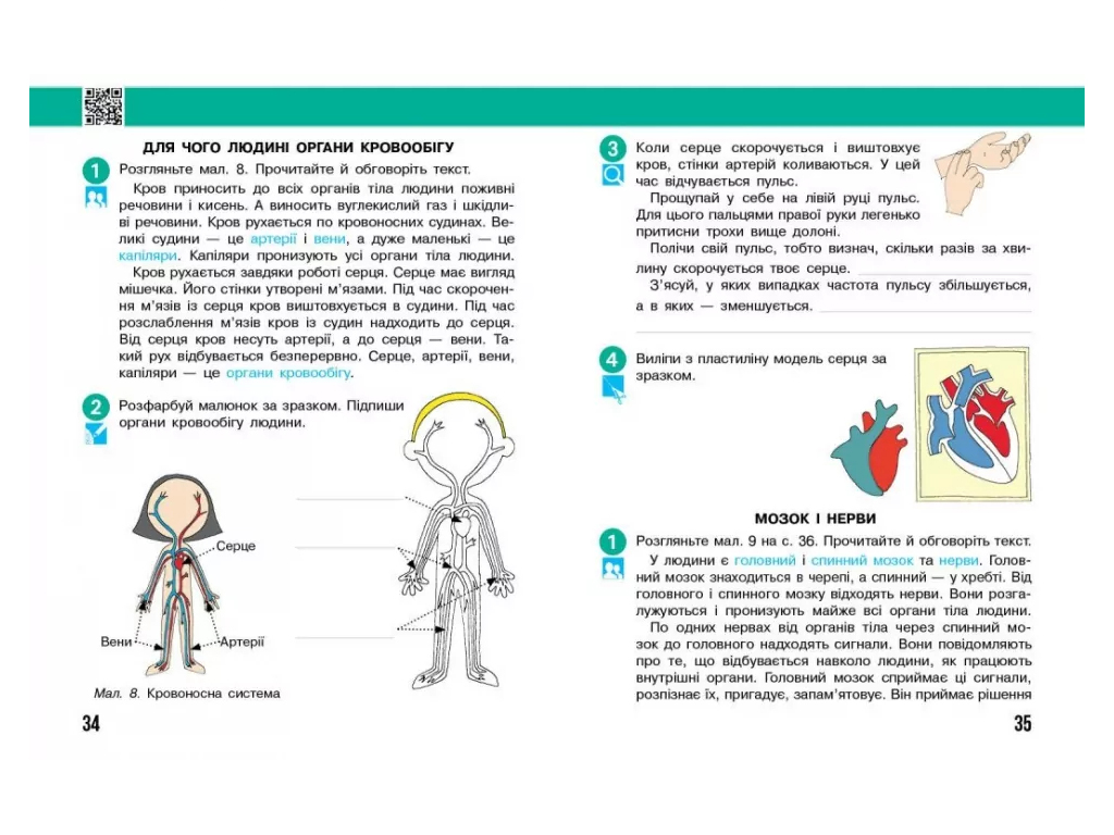 НУШ 3 клас, Я досліджую світ, Робочий зошит, Частина 2, до підр. Бібік Н.М., Бондарчук Г.П., Ранок