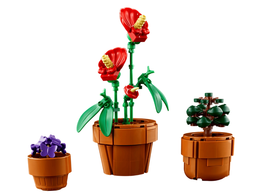 Конструктор LEGO Botanicals Мініатюрні рослини, 758 деталей