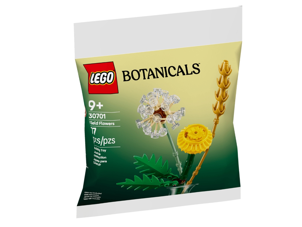 Конструктор LEGO Botanicals Полевые цветы, 77 деталей