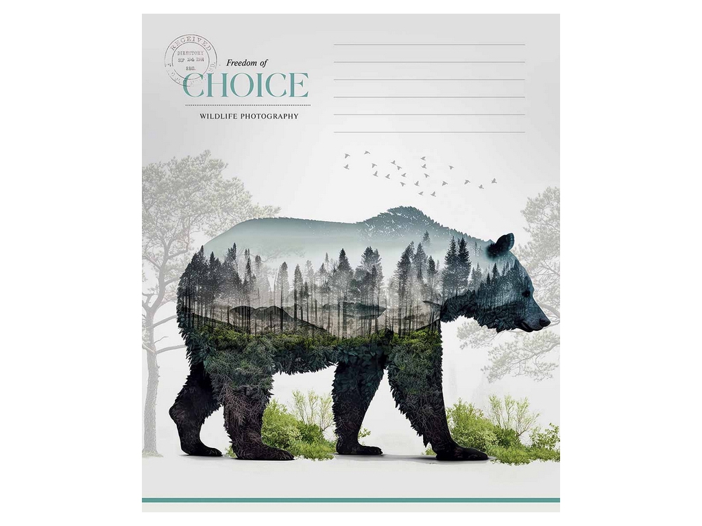 Зошит у клітинку Choice, 18 аркушів, ВД-лак, 5 видів, Школярик 018-3633K  (ціна за 1шт)