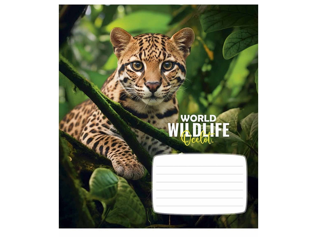 Зошит лінію Wildlife 018-3679L, 18 аркушів, ВД-лак, 5 видів (ціна за 1шт), Школярик