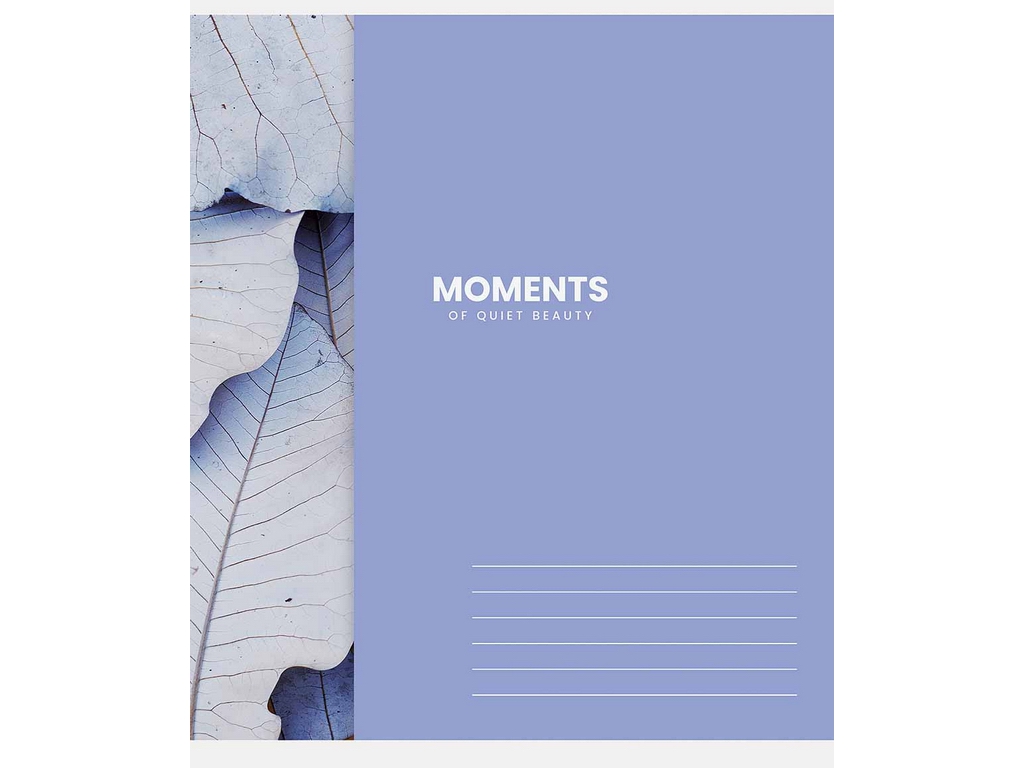 Тетрадь ученическая "Moments", 18 листов, в линию, ВД-лак, 5 видов (цена за 1шт), Школярик