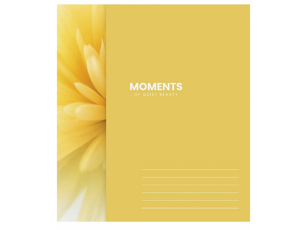 Тетрадь ученическая "Moments", 18 листов, в линию, ВД-лак, 5 видов (цена за 1шт), Школярик