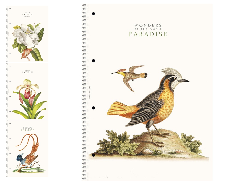 Зошит коледж-блок у лінію 80 аркушів А4 (ціна за 1 шт)