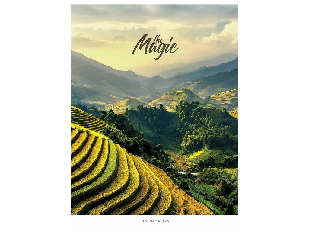 Тетрадь общая The Magic, А5, 48 листов, в линию, УФ-лак, 4 вида (цена за 1шт), Student
