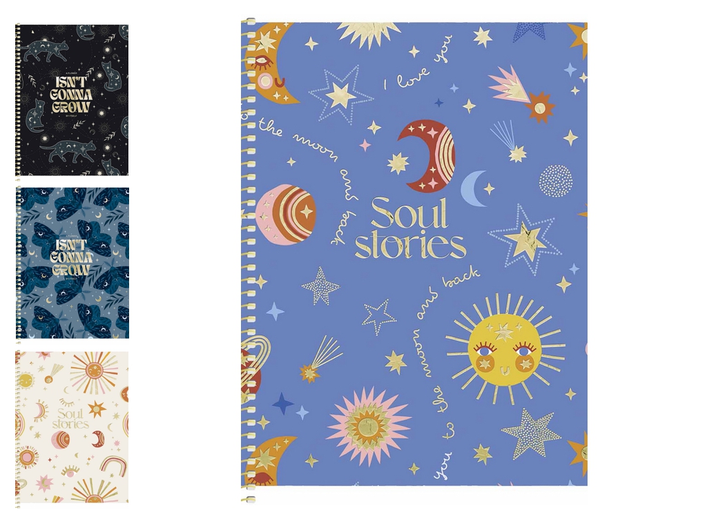 Тетрадь В5 на спирали Soul Stories, 80 листов, в клетку, микс видов
