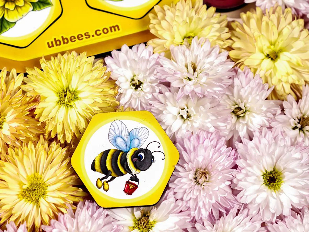 Розвиваюча гра Меморі соти, Ubumblebees
