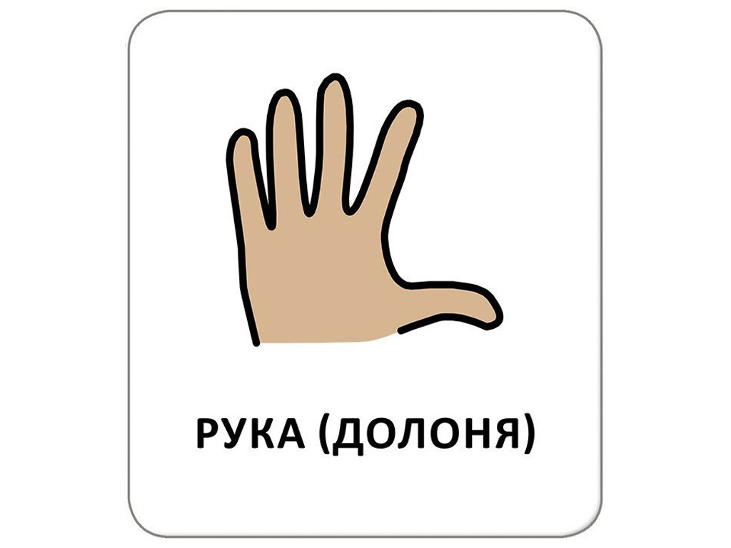 Карточки с пиктограммами "Гигиена, Мое тело", Кенгуру