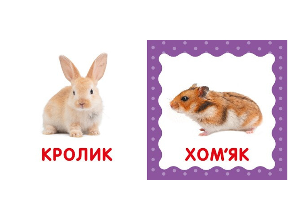 Первая книга малыша Домашние животные, 110х110 мм, ZIRKA