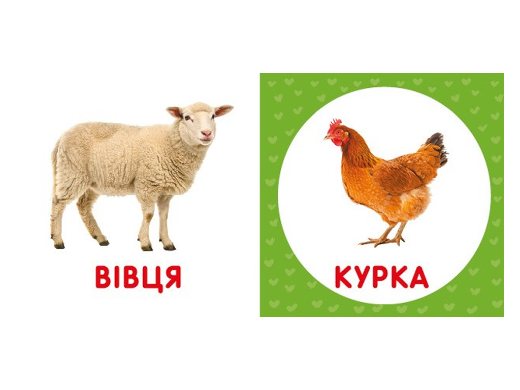 Первая книга малыша Домашние животные, 110х110 мм, ZIRKA