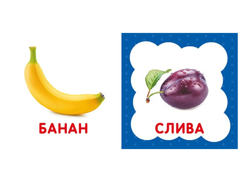 Первая книга малыша Фрукты и овощи, 110х110 мм, ZIRKA
