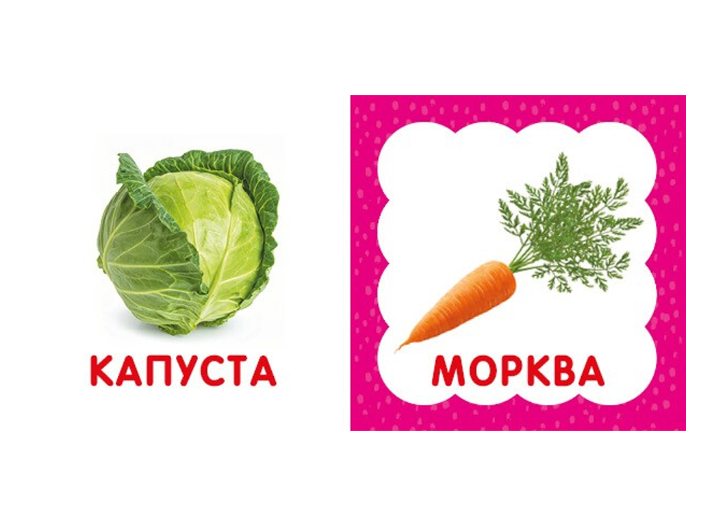 Первая книга малыша Фрукты и овощи, 110х110 мм, ZIRKA