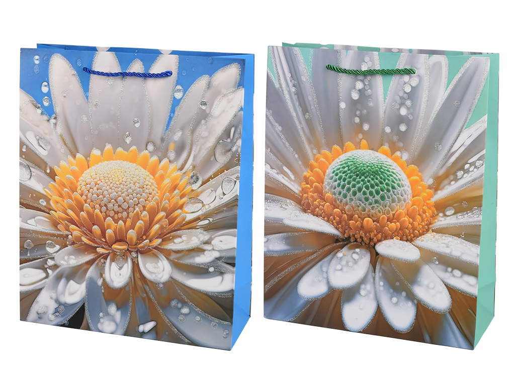 Пакет подарунковий паперовий  Camomile R40793-M, 26х32х10см, мікс видів