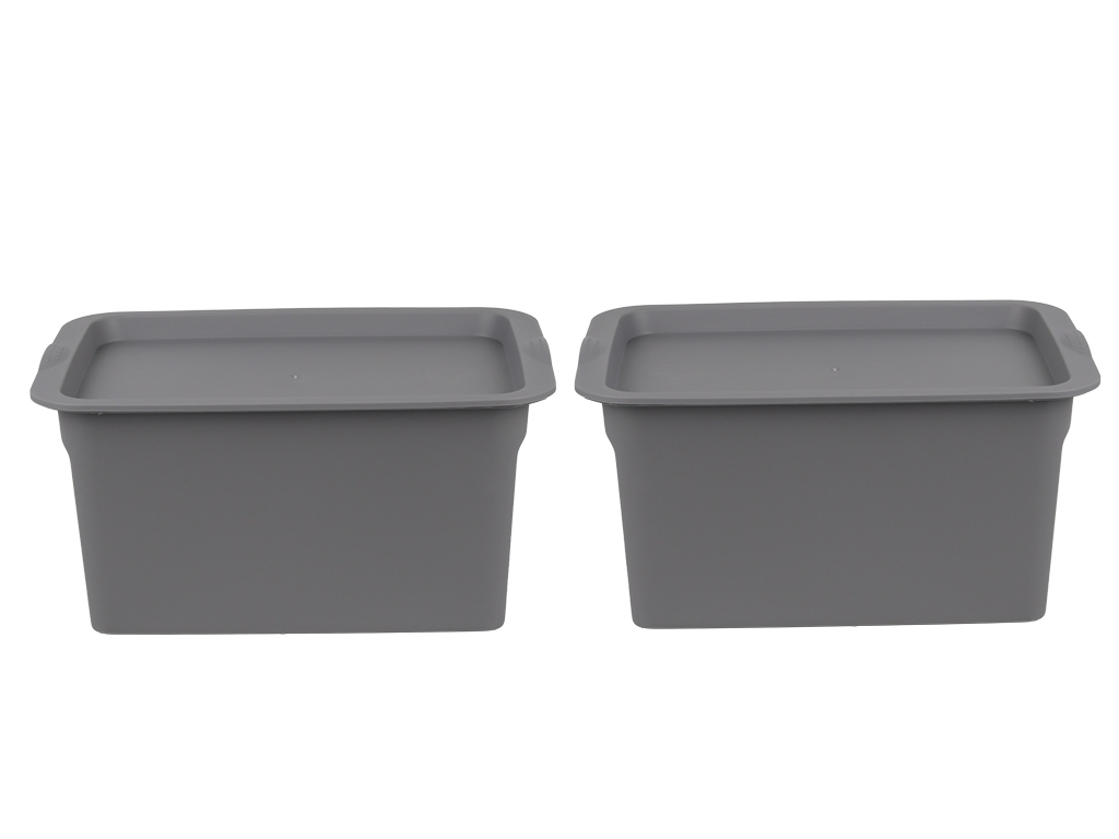Набор коробок для хранения R42032-GR, 2 шт, 11×8×6/28×20×15 см, графит