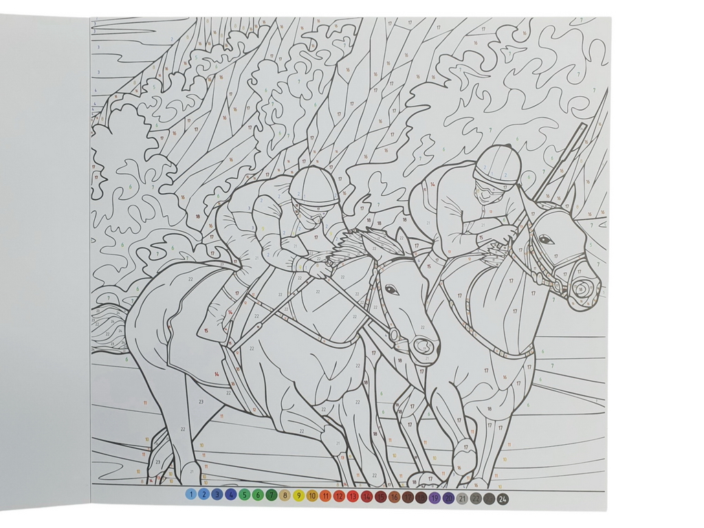 Розмальовка по номерах "Спорт", формат 24×22,7 см, 12 аркушів, Аркуш