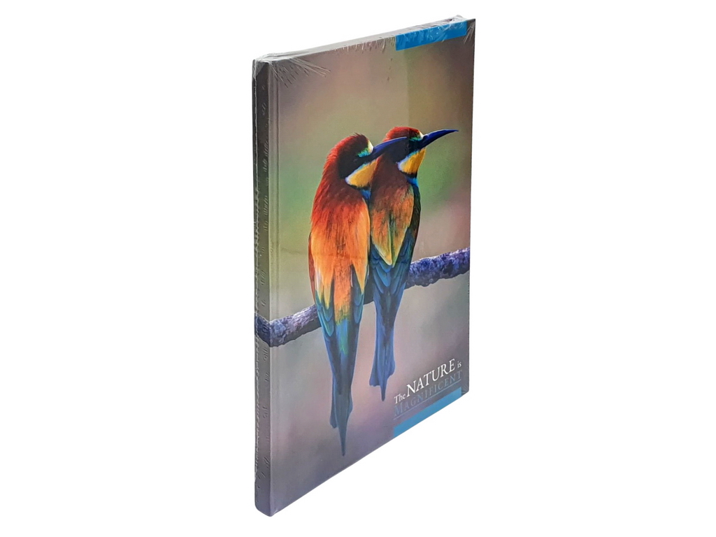 Книга канцелярская Престиж Яркие птички А4, 96 листов клетка, Аркуш 1В2774