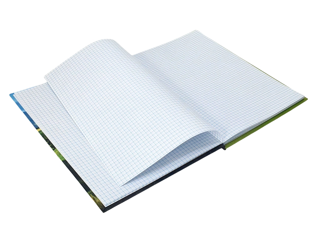 Книга канцелярська А4 48 аркушів клітина, Тетрада ТЕ12831