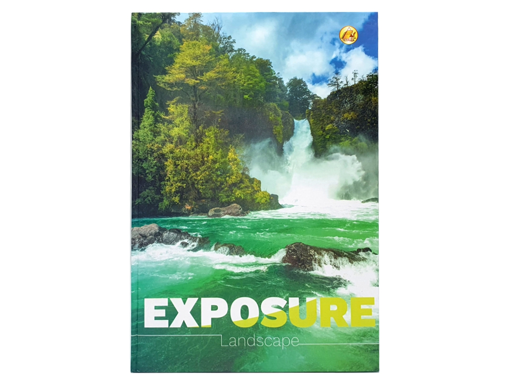 Книга канцелярська А4 48 аркушів клітина, Тетрада ТЕ12831