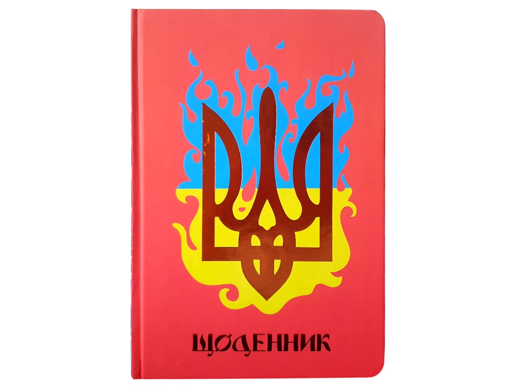 Дневник школьный твердый переплет Soft Touch, ассорти дизайнов (цена за 1шт)