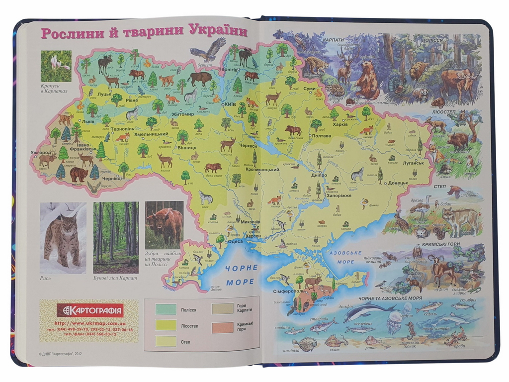 Дневник школьный твердый переплет Soft Touch, ассорти дизайнов (цена за 1шт)