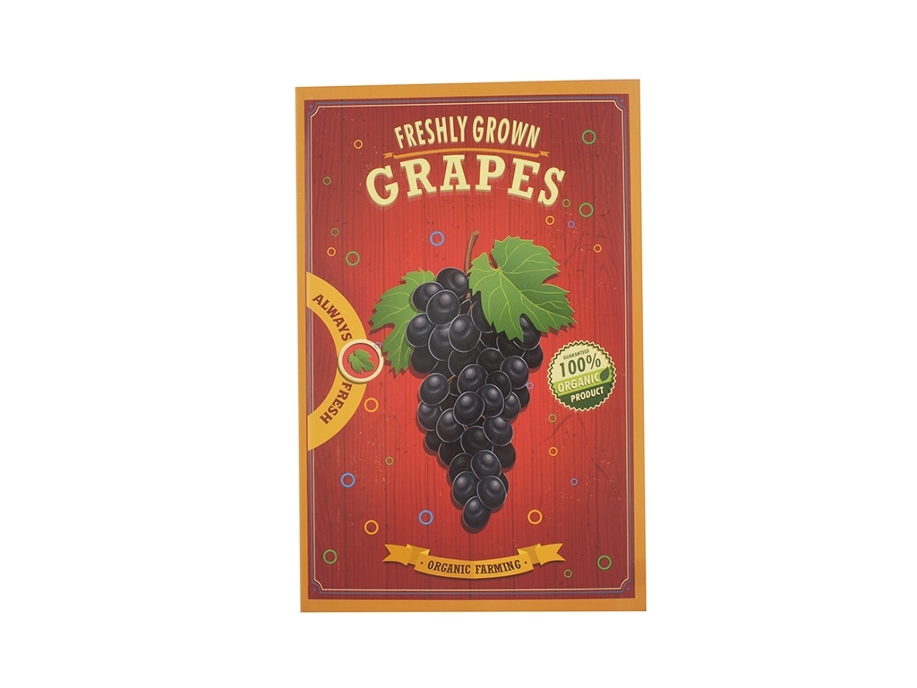 Блокнот FRESHLY GROWN GRAPES 96 листов. 194х292 мм. Аркуш 1В1386