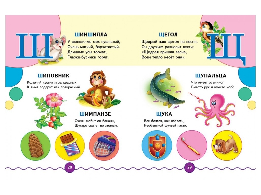 Книга "Готовимся к школе. Азбука + счёт. Стихи и примеры", 5+, Пегас
