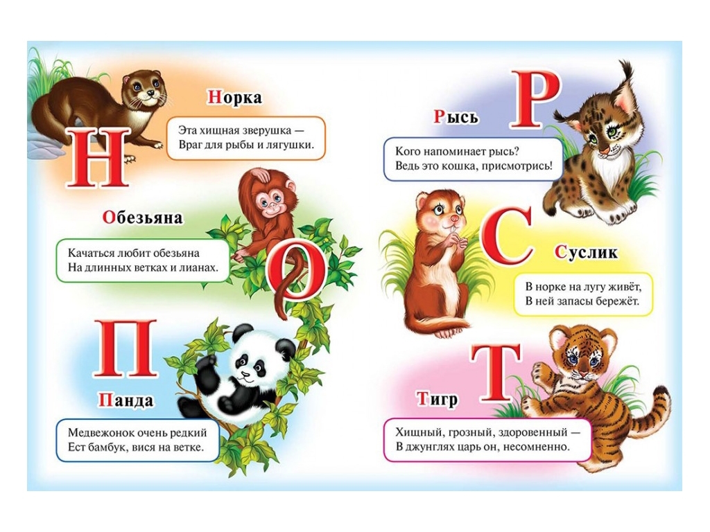 Детская книга Школа малыша, Азбука, Лев, Пегас