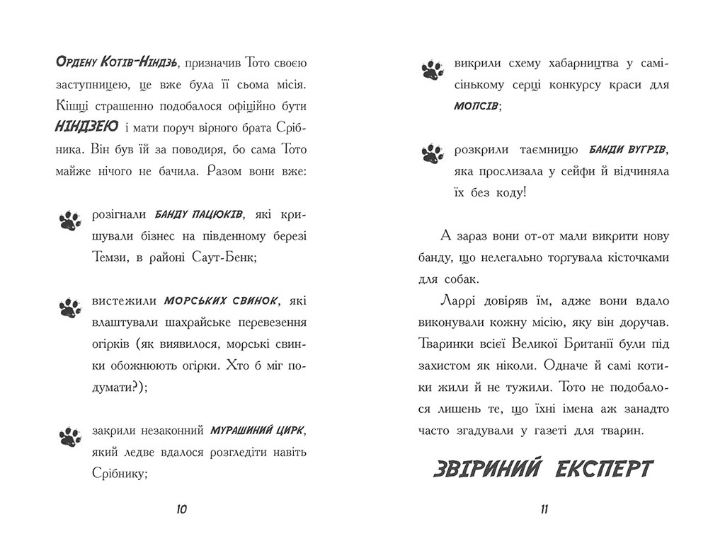 Приключенческий детектив "Тото. Кошка-ниндзя и КОТОстрофа суперзвезды" Д. О'Лири, Ранок