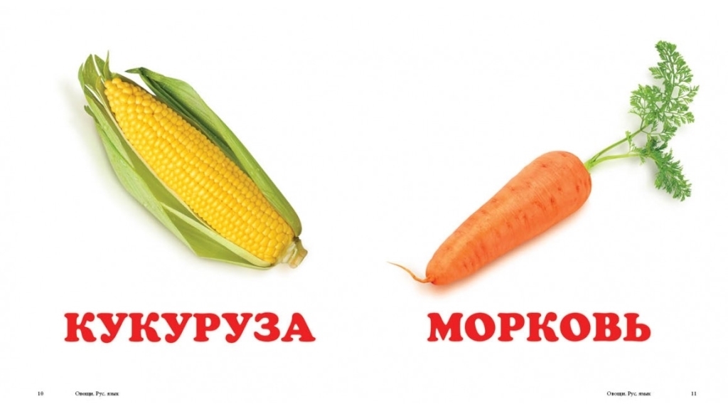 Детская книжка-картонка Окружающий мир, Овощи Пегас