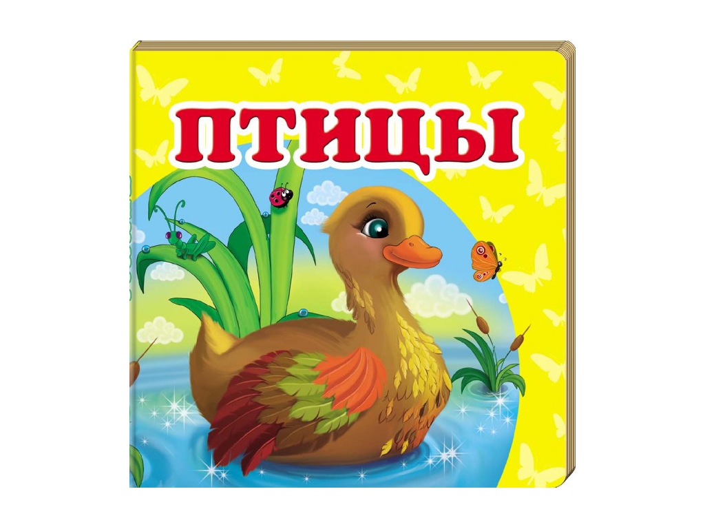 Детская книжка-картонка Окружающий мир, Птицы Пегас
