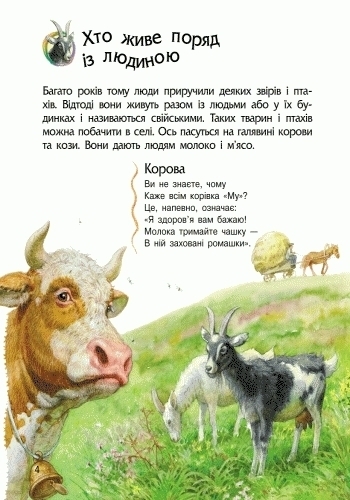 Энциклопедия "Животные", для малышей от 2 лет.
