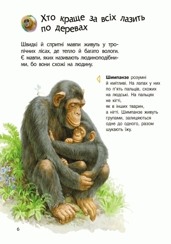 Энциклопедия "Животные", для малышей от 2 лет.