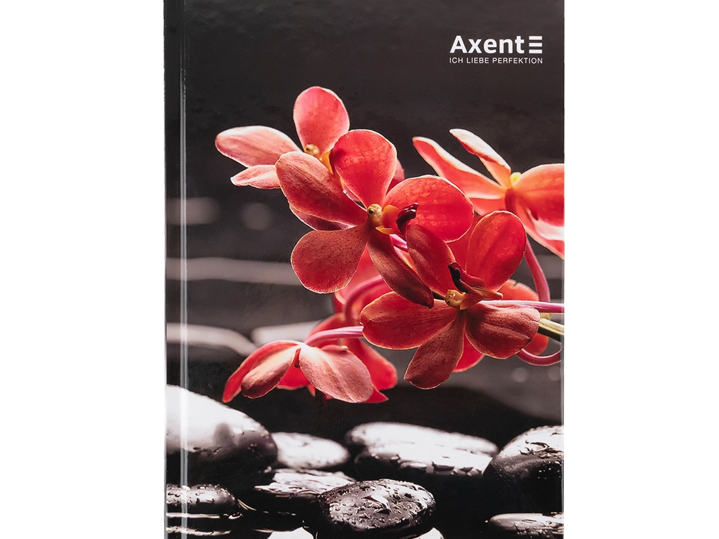 Книга записная в клетку R&B Flower А5. 96 листов. Axent 8457-7-A