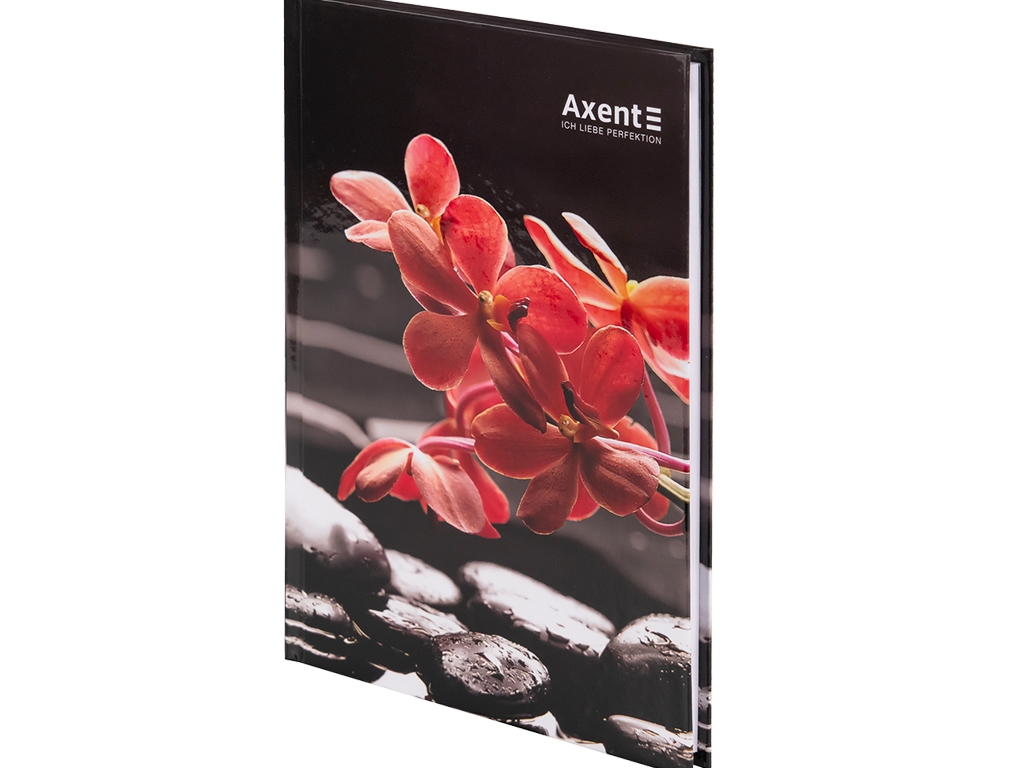 Книга записная в клетку R&B Flower А5. 96 листов. Axent 8457-7-A