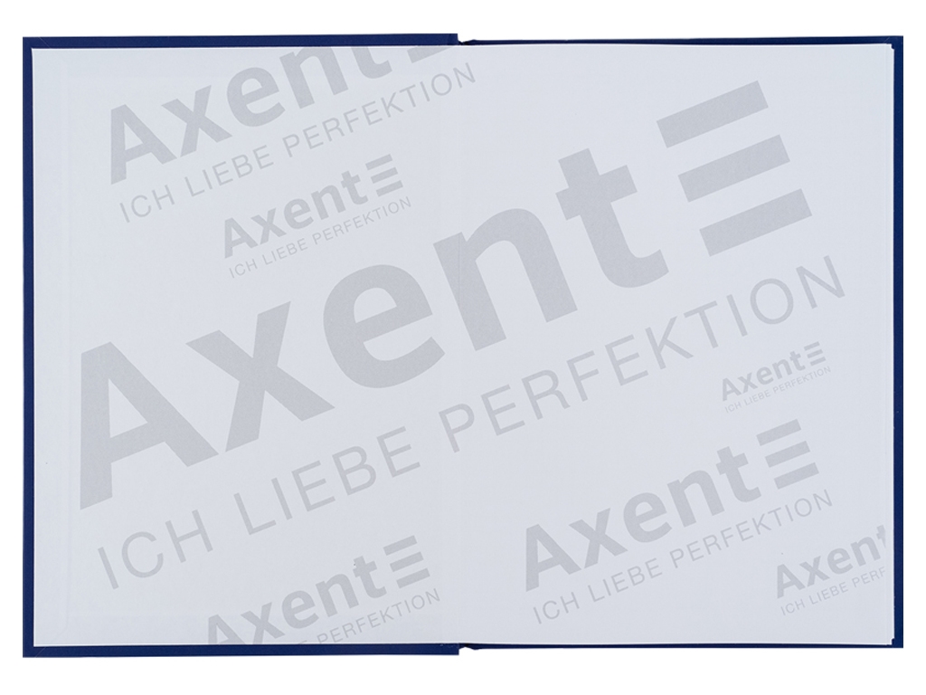 Книга записная в клетку BE UKRAINE А5. 96 листов. Axent 8455-2-A