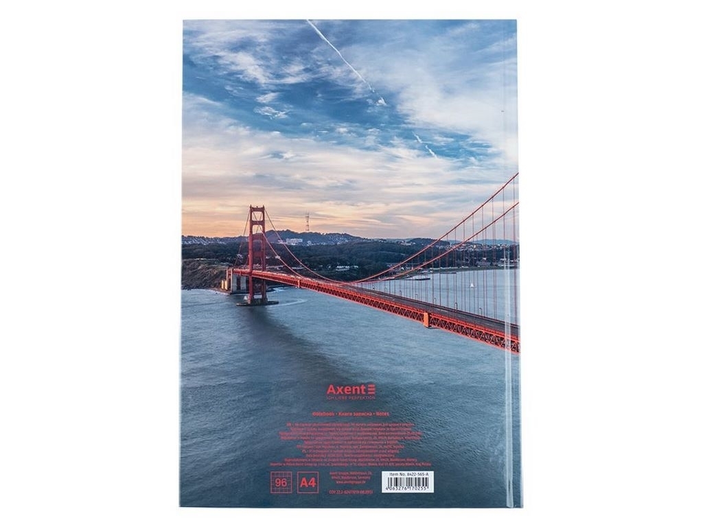 Книга записная в клетку Connect А4. 96 листов. Axent 8422-565-A