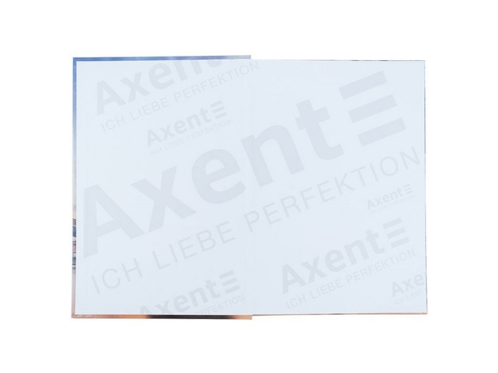 Книга записная в клетку Power А4. 96 листов. Axent 8422-567-A