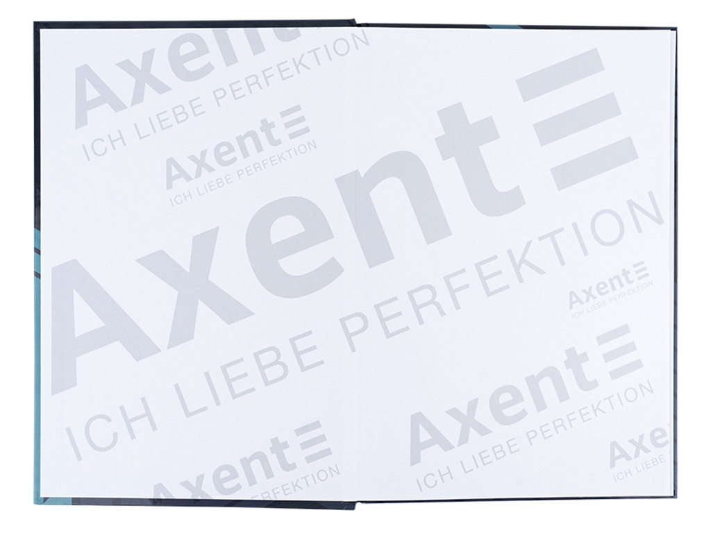 Книга записная в клетку серая Lines А4. 96 листов. Axent 8422-580-A