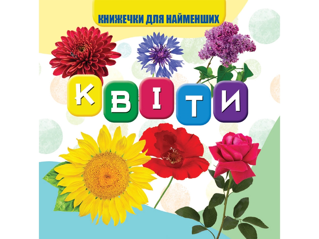 Моя первая книга Цветы. Jumbi VR06041704