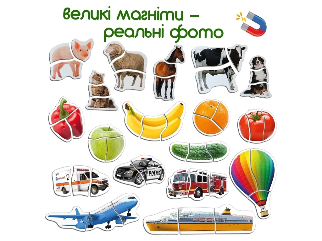 Набір магнітів 4in1 Magnetic Gift puzzle for baby 54 шт. Magdum ML4031-62 EN