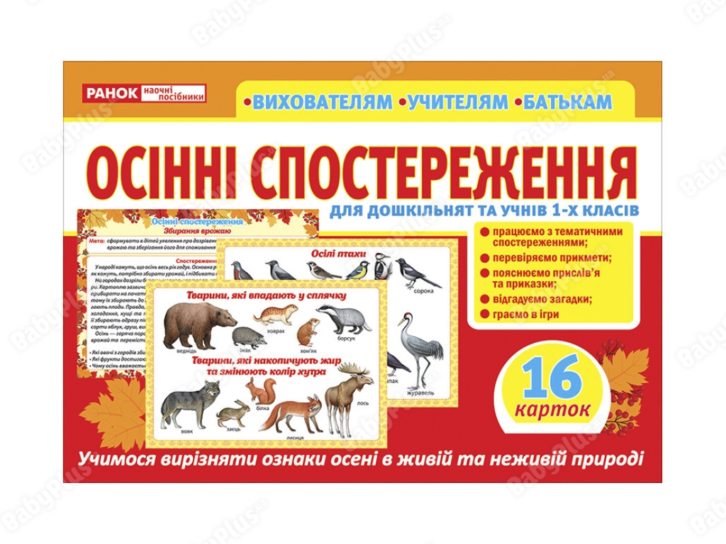 Розповімо дітям, Осінні спостереження