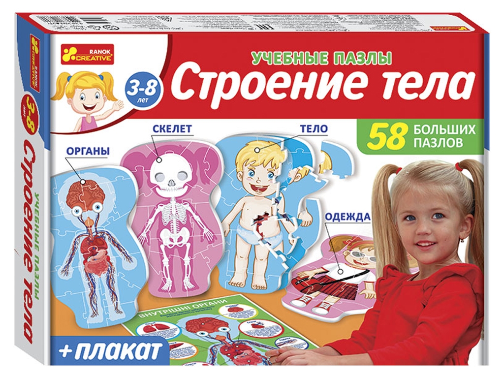 Учебные пазлы, Строение тела, Ranok Creative