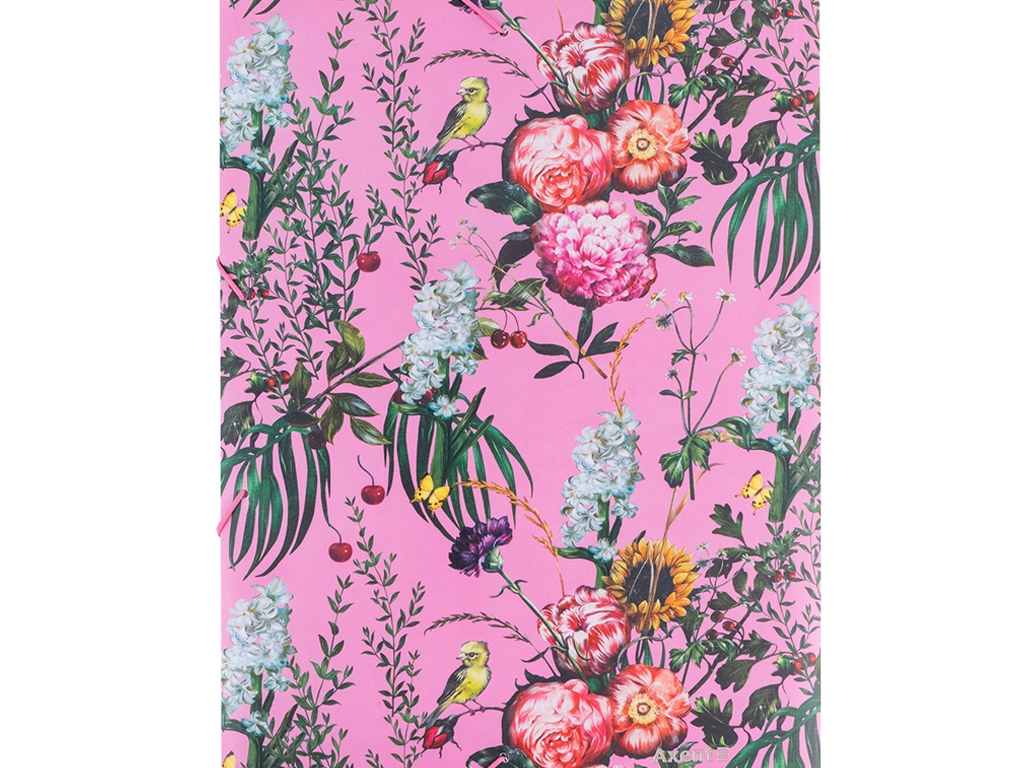Папка на гумках А4+ OS Summer. Axent 1509-35-A