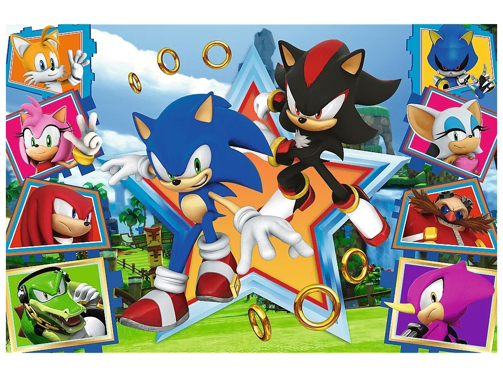 Пазл Trefl Meet Sonic, 100 деталей